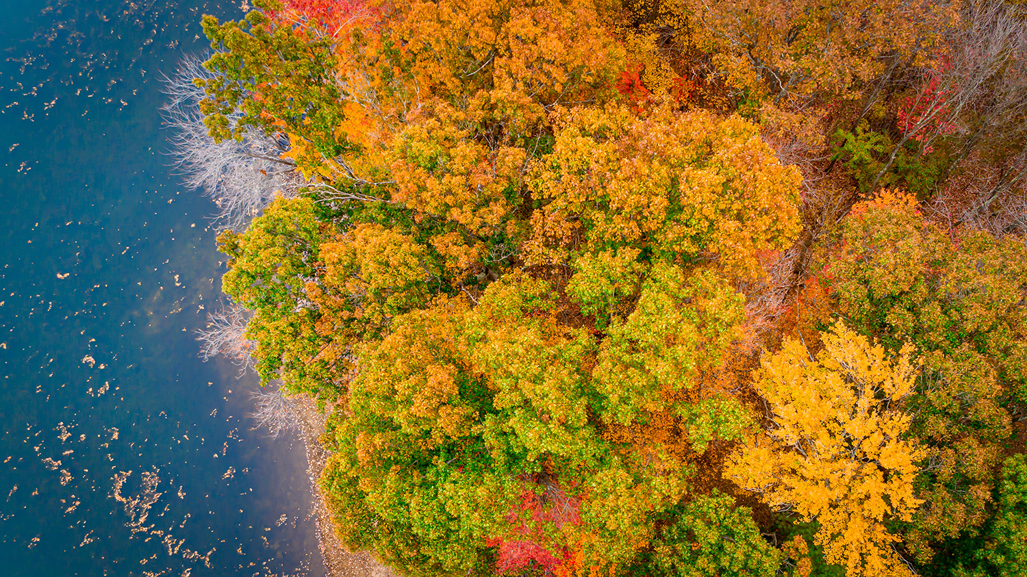 Colorful View, Visible Light - Melvin Guante